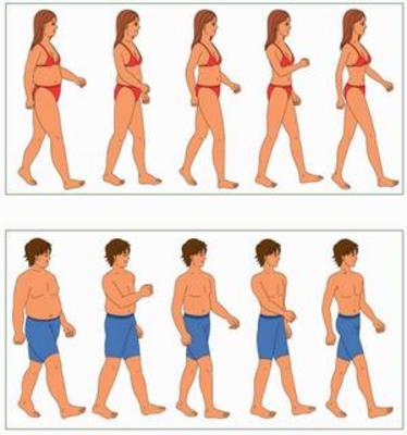 Product picture Weight Loss - Guaranteed Weight Loss 